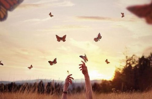 Mains-papillons-e1455365534937