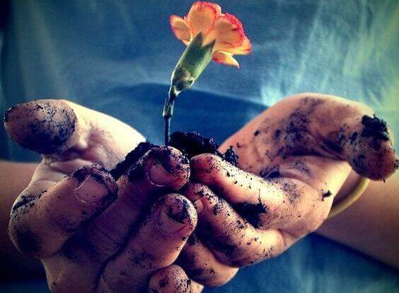 Mains-tenant-une-fleur