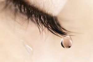 Apprendre est un cadeau, même si le maître incarne la douleur