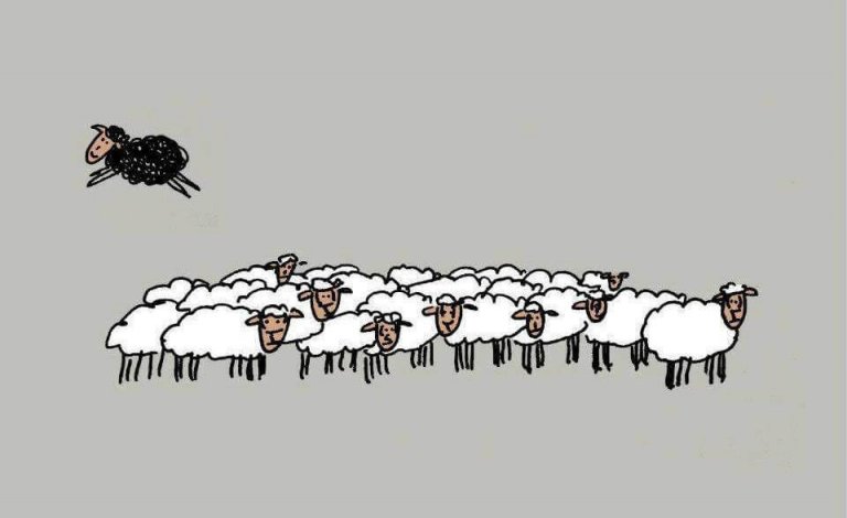 Le mouton noir n'est pas méchant ; il est simplement différent
