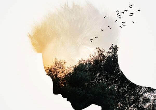 Profil-masculin-et-nature