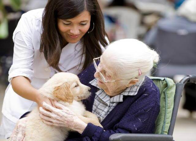 anciana-con-un-perro