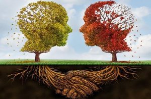 10 types de psychologues