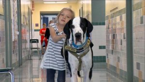 "Repose-toi sur moi", la merveilleuse histoire de Bella et George