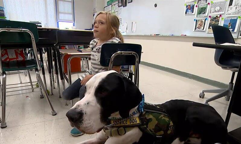 bella-y-george-en-el-colegio-e1456180340228