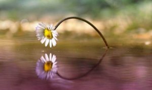 Les bonnes choses peuvent arriver n'importe quand