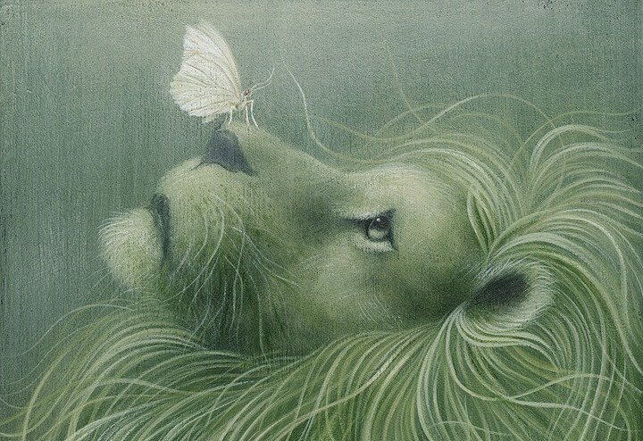 leon-con-mariposa