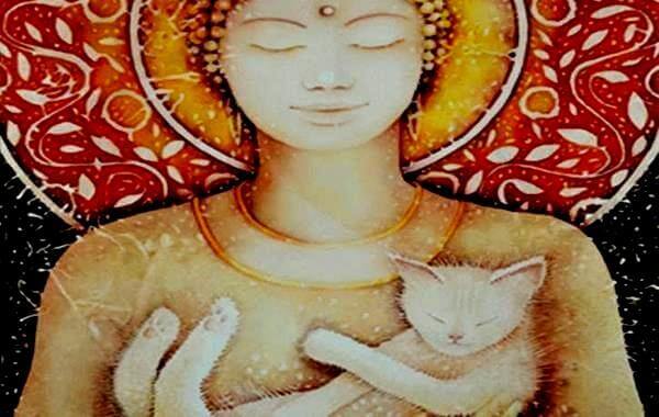 Chat-Bouddha