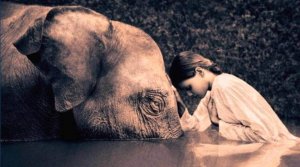 Les principes du karma, selon le bouddhisme