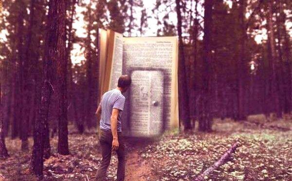 Homme-devant-la -porte-d'un-livre-geant