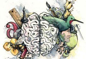 Découvrez quelle est votre intelligence dominante