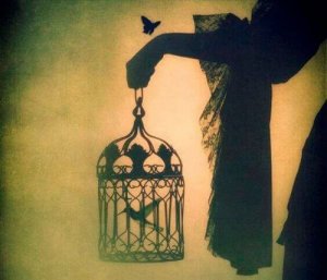 Un oiseau né en cage croit que voler est une maladie