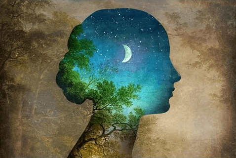 Profil-de-femme-belle