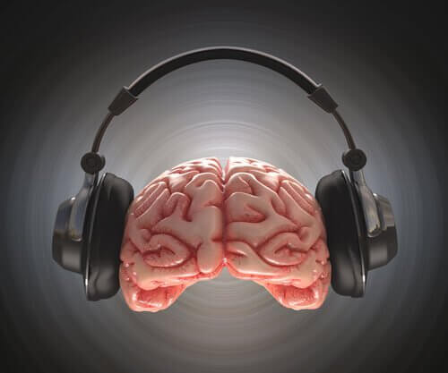 cerveau ecoutant de la musique