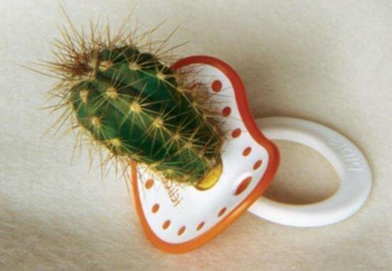 chupete-con-forma-de-cactus