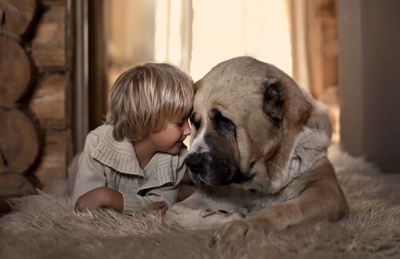 Amour-animal-enfant