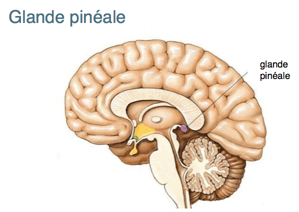 captura-de-pantalla-2016-09-21-a-las-13-22-40