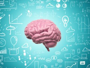 Grâce à notre neuroplasticité, nous ne cessons jamais d'apprendre