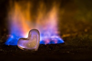 S'il n'y a pas de feu, ne jetez pas de bois dans les cendres