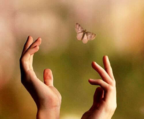 Mains-essayant-d'atteindre-un-papillon