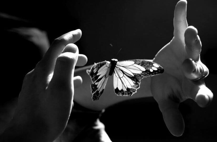 Papillon-entre-deux-mains