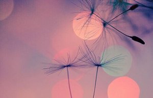 Trouver des réponses lors des mauvais moments est thérapeutique