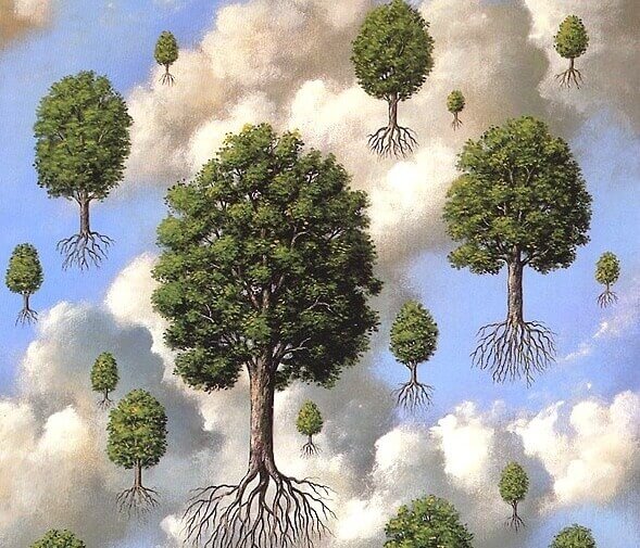 arboles-con-raices