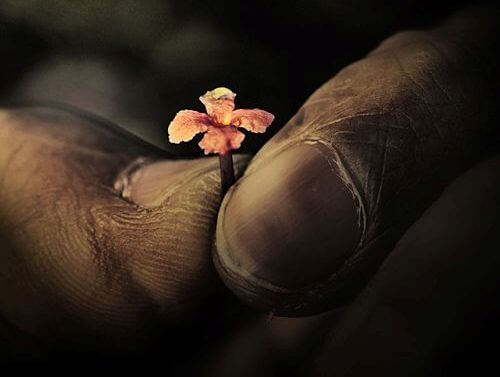 doigts-et-fleur