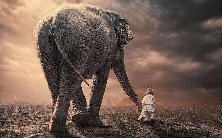 fille-avec-un-elephant