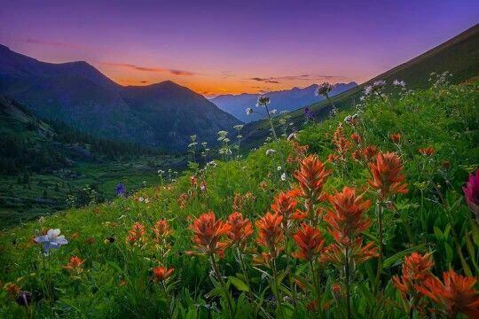 mauvais-moments-prairie-florale