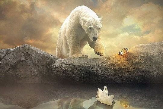 ours-polaire