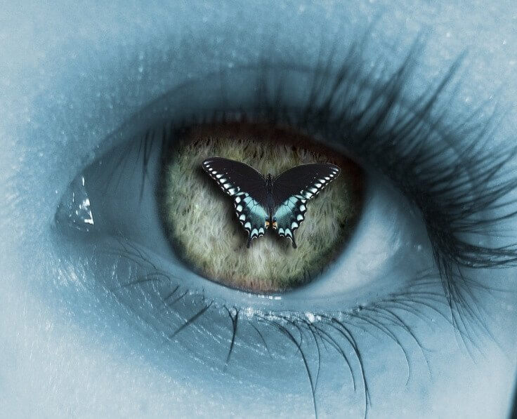 regard-papillon-pour-changer-les-autres