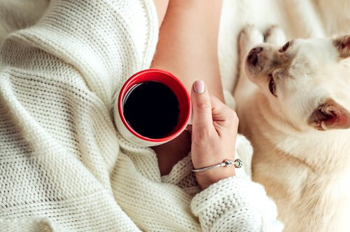 5 stratégies pour vaincre la paresse