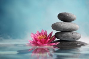 29 phrases zen pour vivre différemment