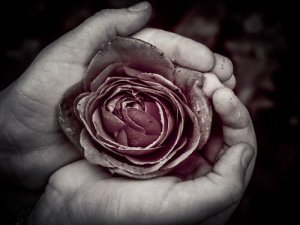 La perfection qui se niche dans l'imperfection