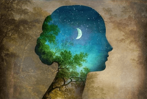 Vous n'êtes pas les expériences que vous vivez, mais les leçons que vous en tirez