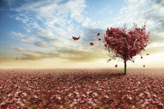 arbre-en-forme-de-coeur