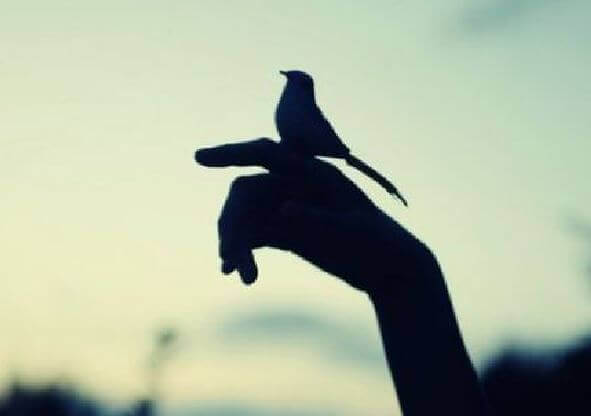 mano-con-pajarito