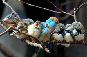 Si la vie vous donne des personnes merveilleuses, c'est parce que vous le méritez
