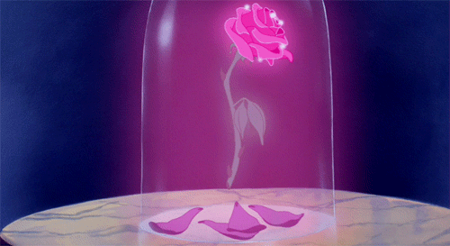 rose