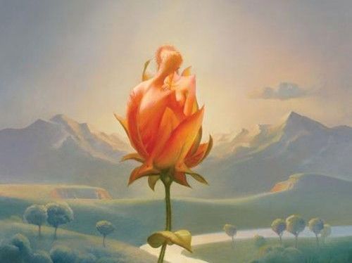 pareja-en-una-rosa