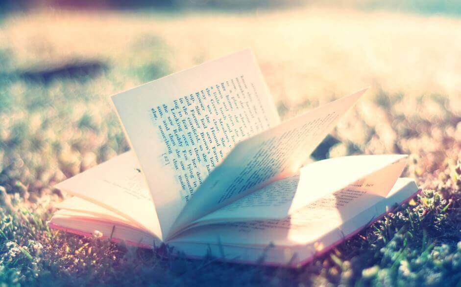 livre-sur-la-pelouse