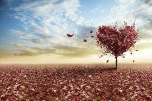 3 réflexions sur l'amour d'Erich Fromm