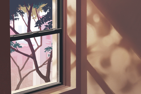 gif-ventana