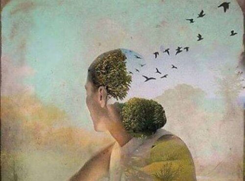 4531199fe02476861545a087fafc1e32