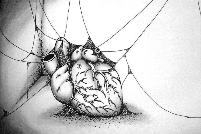 coeur-toiles-daraignee