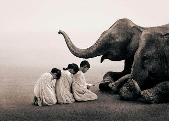 enfants-elephant