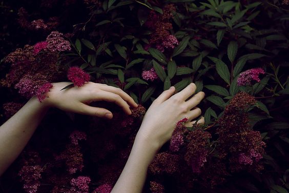 mains-fleurs