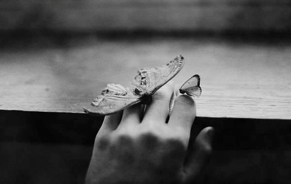 mains-papillon