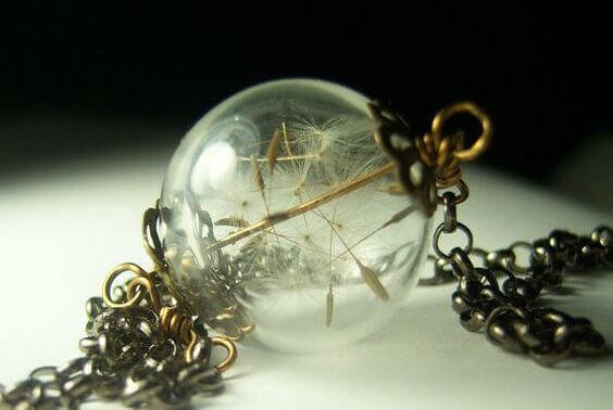 pissenlit-dans-verre